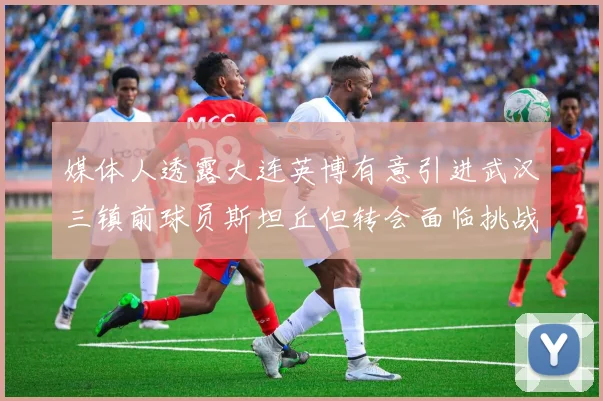 媒体人透露大连英博有意引进武汉三镇前球员斯坦丘但转会面临挑战